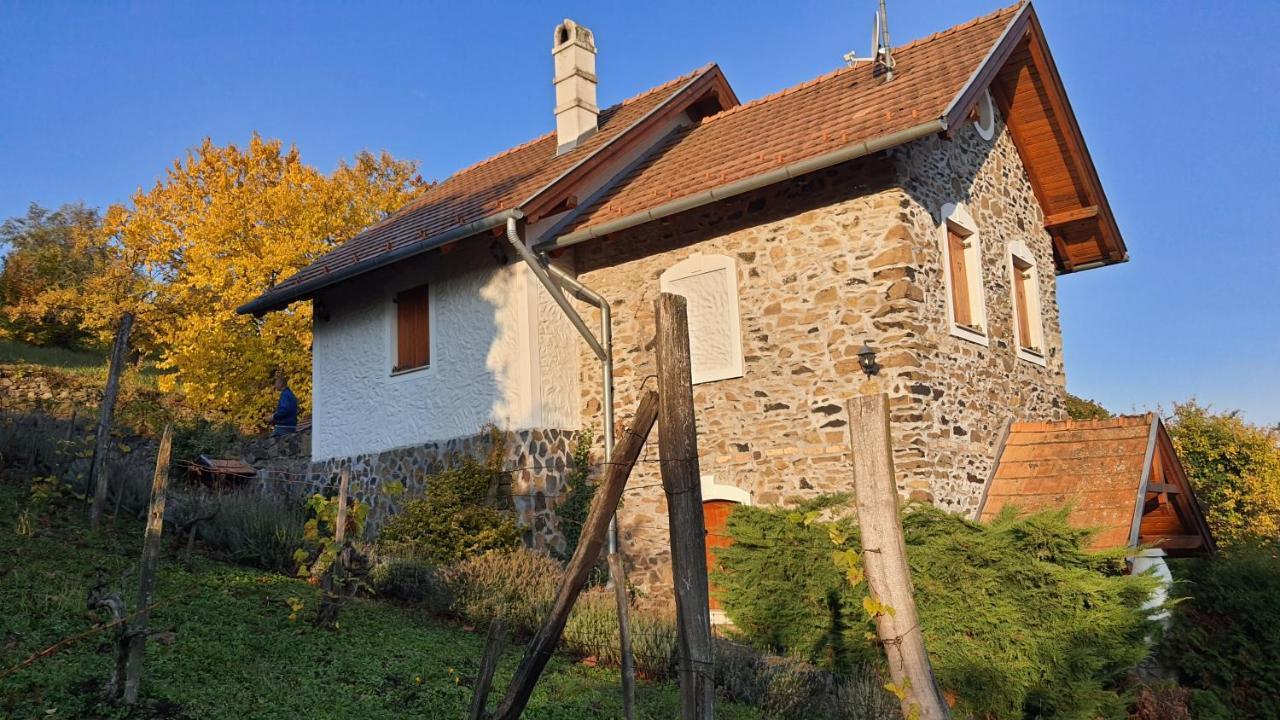 Sárkányles Vendégház Kisapati Exterior foto