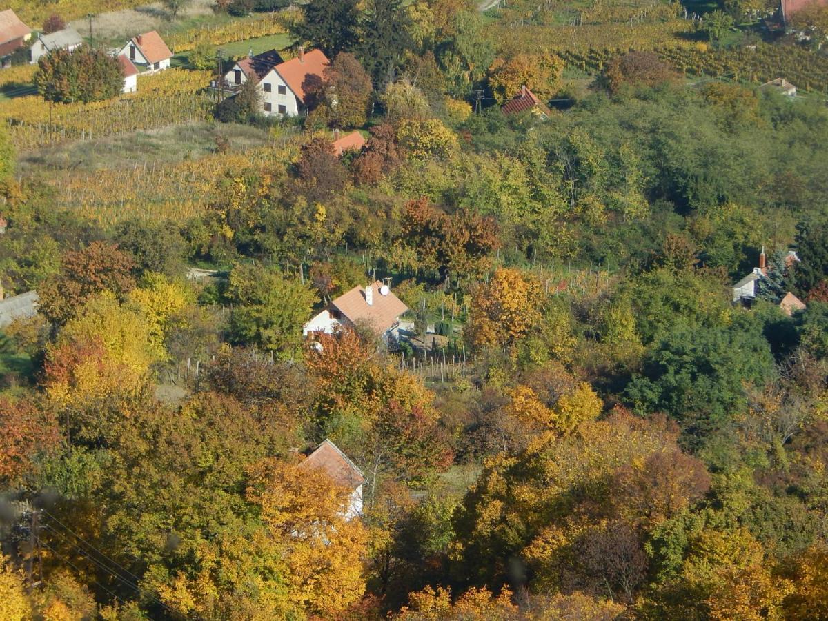 Sárkányles Vendégház Kisapati Exterior foto