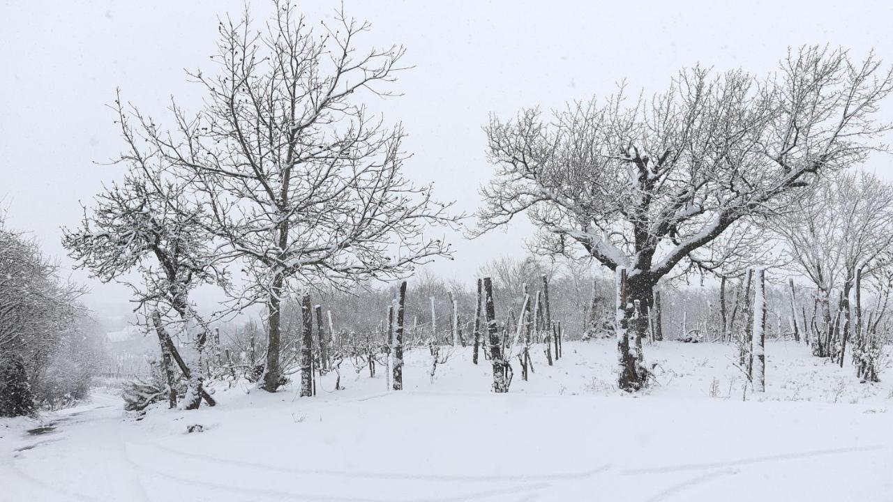 Sárkányles Vendégház Kisapati Exterior foto