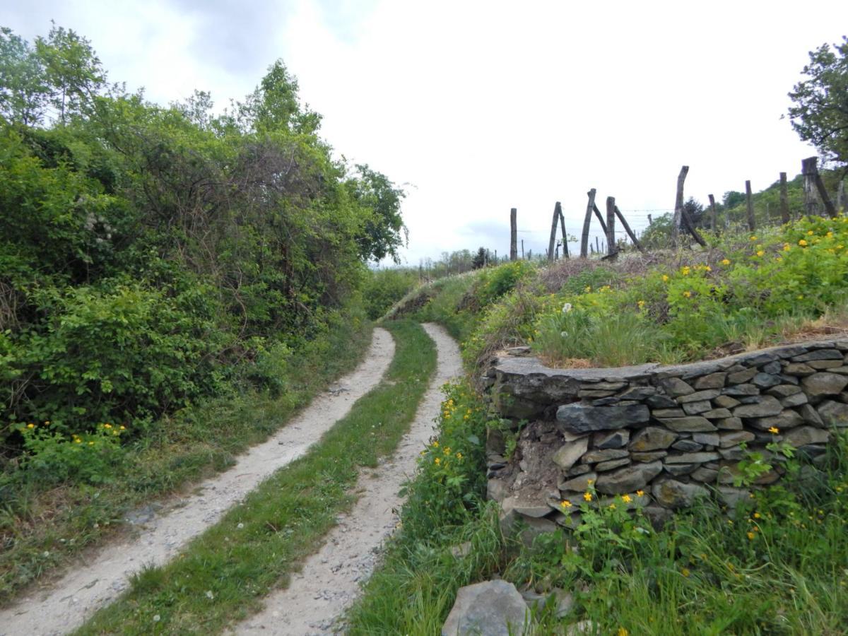 Sárkányles Vendégház Kisapati Exterior foto