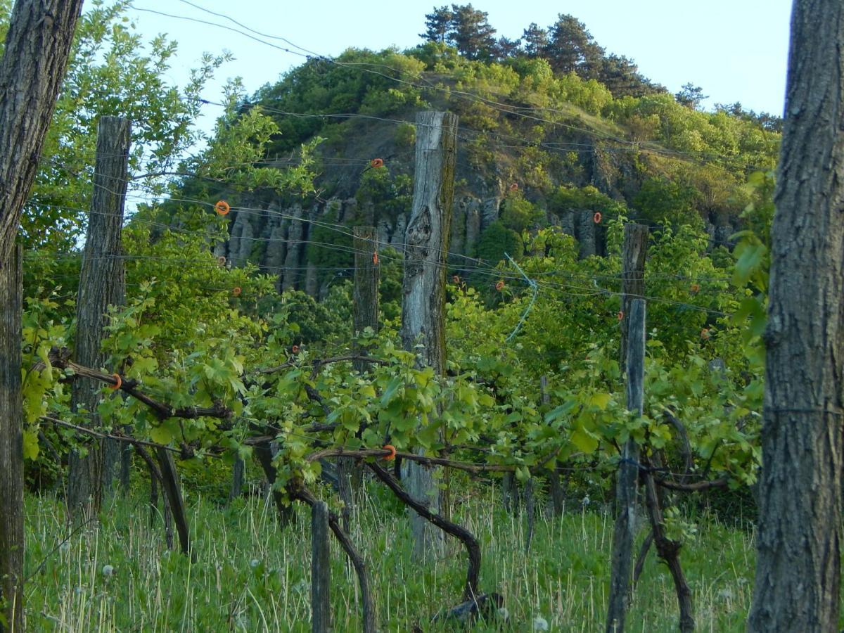 Sárkányles Vendégház Kisapati Exterior foto